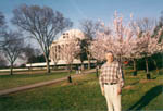 Cherry Blossom Festival